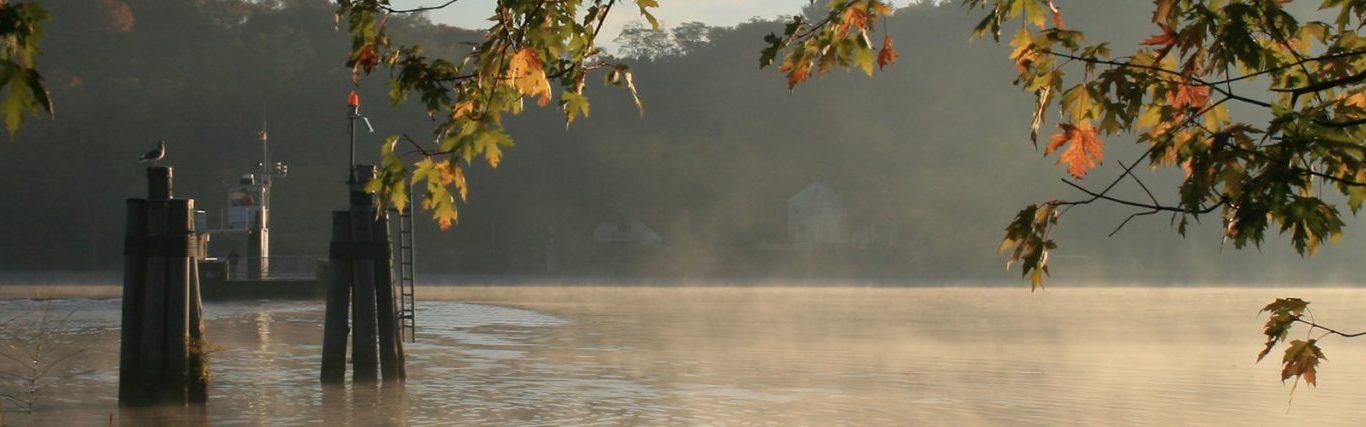 docks on foggy water